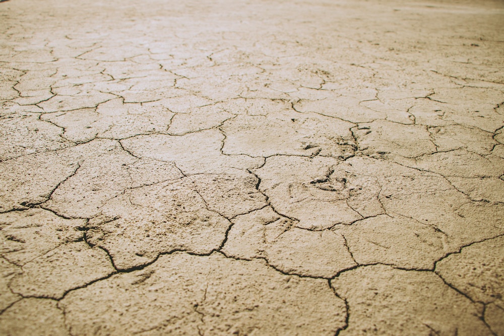 Changements climatiques et immobilier : l'impact sur la valeur des biens